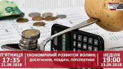 Економічні перспективи Волині