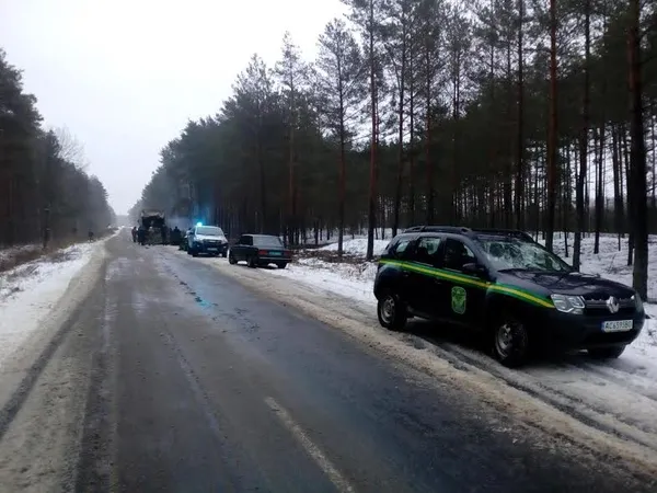 На Волині затримали фуру з нелегальними ялинками