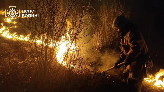 Горіли суха трава, чагарники й очерет: на Волині загасили 5 пожеж (фото)