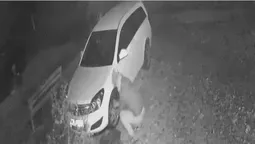 Луцький крадій автомобільних ковпаків потрапив на камеру спостереження (відео)