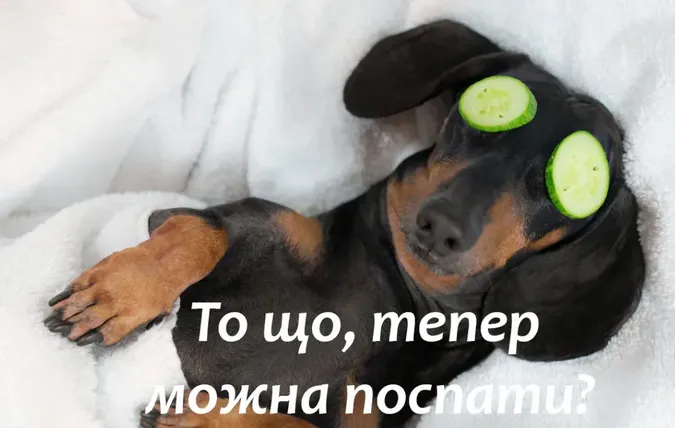 Найсмішніші меми про кінець навчального року