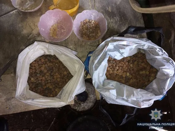 На Волині «накрили» підпільні цехи з обробки бурштину (фото)