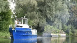 У Луцьку Стир чистять від повалених дерев (фото, відео)
