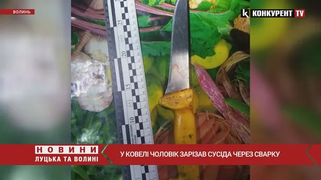 П'ять ножових: у Ковелі чоловік вбив свого сусіда