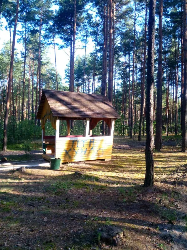 Патріотизм чи вандалізм: у рекреаційному пункті на Волині залишили нецензурні написи про путіна (фото)