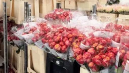 На Волині викрили квіткову мережу, яка приховала майже 28 млн грн доходу (фото)