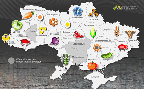 Волинь – лідер із вирощування моркви 