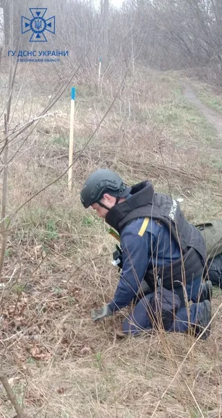 На Сході волинські піротехніки знешкодили майже 500 боєприпасів (фото)