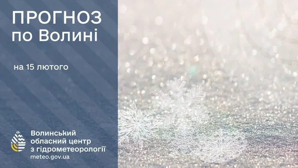Снігові замети та ожеледиця: погода на Волині 15 лютого