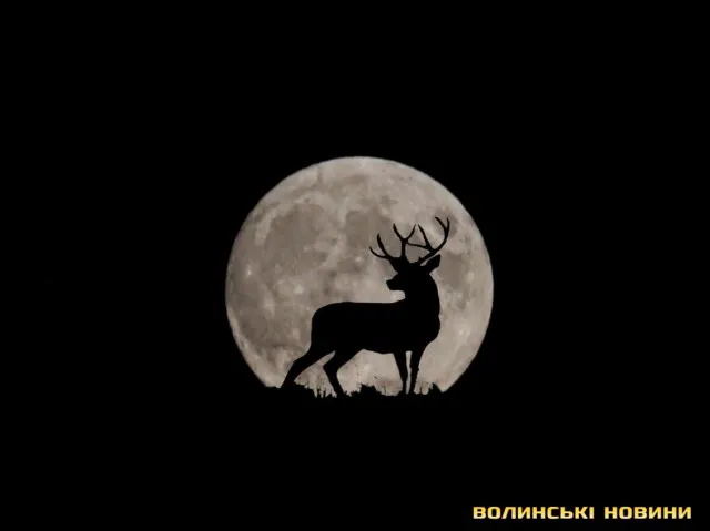 Над Волинню повисла грозова Оленяча повня. Наступна – через 9 років