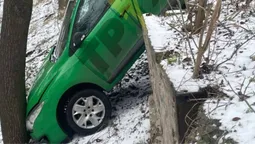 «Стоп-кран» для авто: у Луцьку машина скотилася зі схилу в дерево