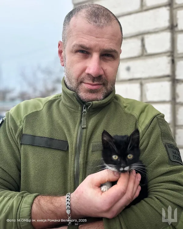Пухнастий «воїн» з волинської бригади знайшов новий дім (фото)