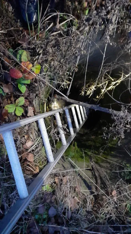 В Нововолинську рятувальники визволяли собаку з колодязя