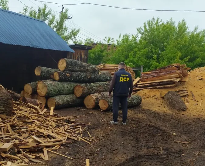 На Волині в оселях лісокрадів, які спалили автомобіль з дубом, знайшли зброю (фото)