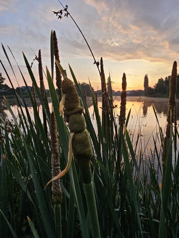 Фото: Олександр Шаула