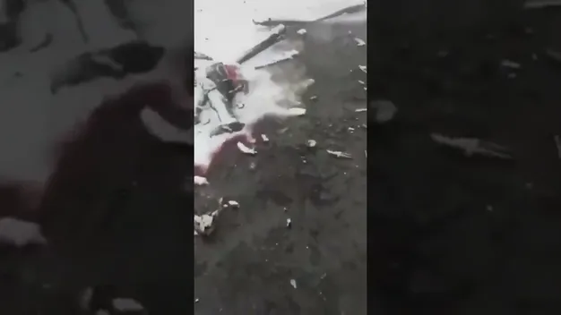 На Харківщині «зіпсувалися» «кадирівці» (відео 18+)