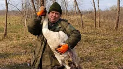 У Чорнобильському заповіднику врятували лебедя, який заплутався у колючому дроті
