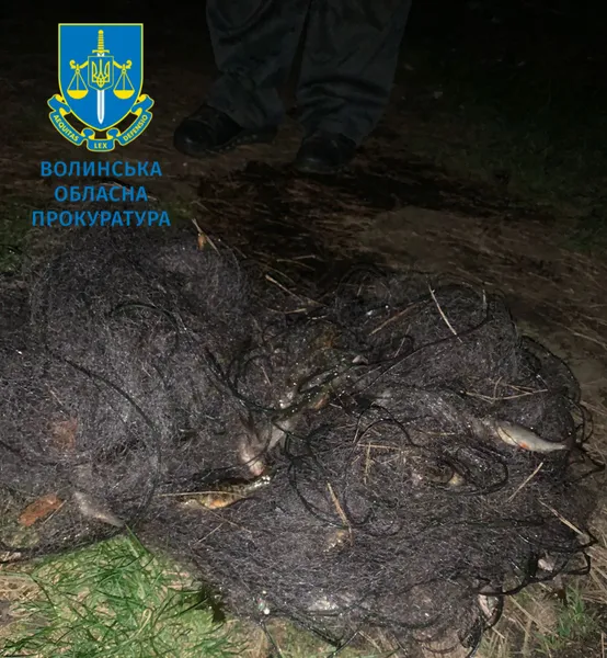 Риба на мільйон: на Волині судитимуть 36-річного браконьєра (фото)