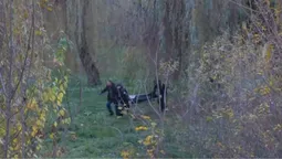 Жахлива знахідка у Луцьку:  з річки Сапалаївка витягнули тіло чоловіка (відео)