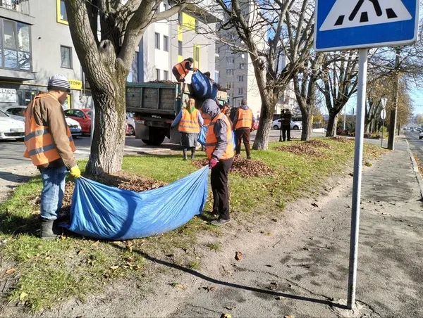 До 5 тонн щодня: як у Луцьку прибирають опале листя (фото, відео)
