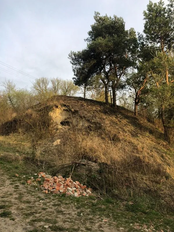 Будівельний непотріб і тушка свині: біля Луцька – звалище сміття (фото)