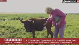 «На одного з потерпілих тиснуть правоохоронці»,  – фермерка з Волині, яку звинуватили у трудовому рабстві (відео)