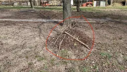 Лучани просять вивезти органічне сміття під шляхопроводом (фото)