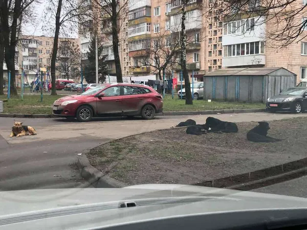 Головне у Луцьку за вівторок, 22 грудня