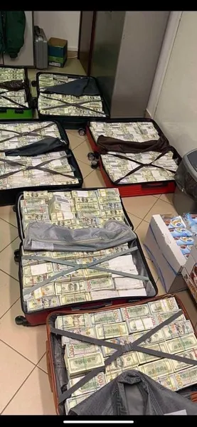 Дружина колишнього нардепа вивезла в Угорщину валізи, набиті 30 млн доларів