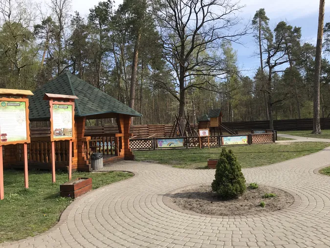«Лісові» подарунки: як волинські села безкоштовно отримують «туристичні родзинки»