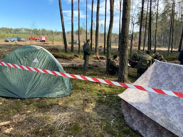 Шкода від лісових пожеж більша, ніж від незаконних рубок, – головний лісівник Волині (фото)