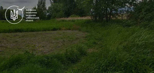Самовільно зайняли землю громади й зорали берег ставка: на Волині екологи викликали поліцію