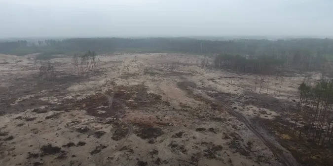 Видобуток бурштину на Великій Волині перетворив ліси на пустелі (відео)