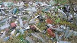 Біля Світязя виявили стихійне сміттєзвалище (фото)