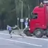 Конфлікт із ТЦК на Волині: водій вантажівки застосував газ і протаранив авто військових (відео)