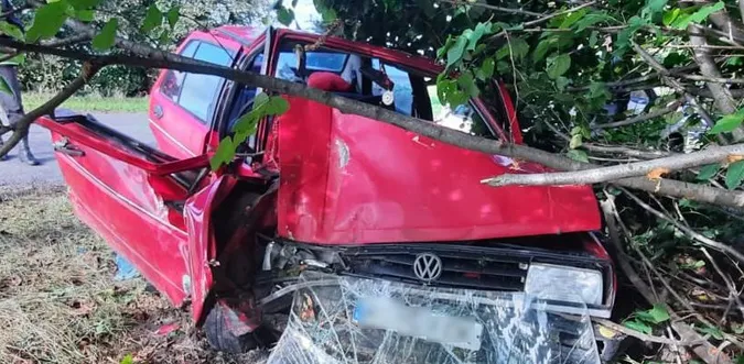 У Луцькому районі Volkswagen протаранив дерево – постраждала пасажирка (фото)