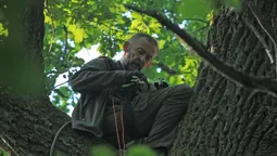 На Волині рідкісному лелеці встановили «маячок»: тепер за ним стежитимуть із космосу (фото)