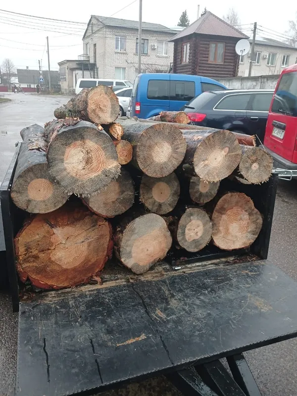 На Волині в нацпарку затримали крадія деревини (фото)