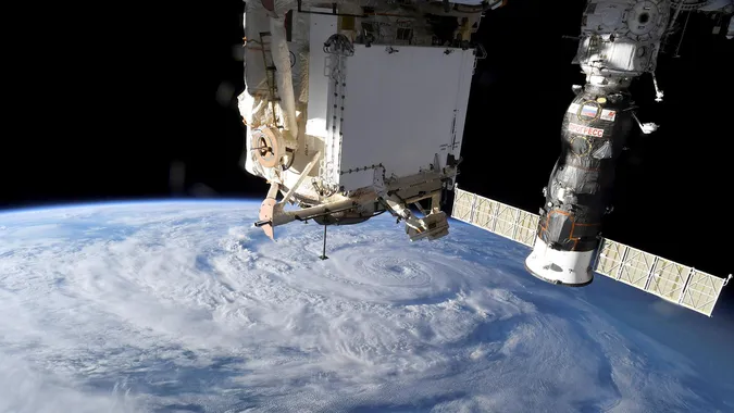 NASA доправила дитинчат кальмарів на космічну станцію