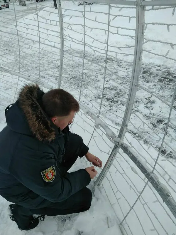 У центрі Луцька знову пошкодили новорічну кулю (фото)