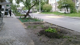 Як у Луцьку двори ремонтують: думка містян (фото)