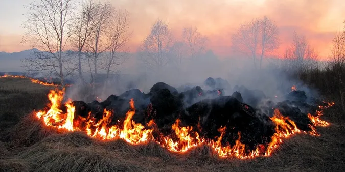 Погода сприяє: на Волині – «червоний» рівень пожежної небезпеки