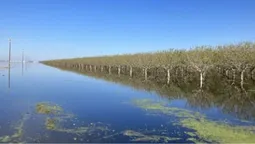 Озеро-привид повернулося після 130 років: вода затопила величезну територію