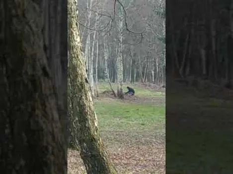 У Луцьку патрульні закладку з наркотиками викинули в канаву (відео)