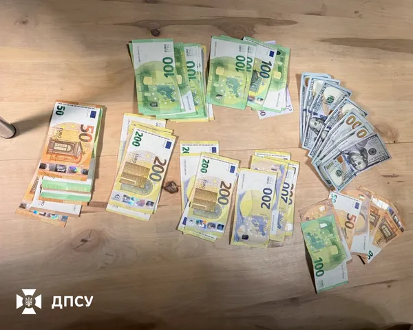 10 тисяч євро за «квиток»: правоохоронці викрили злочинну мережу на кордоні з Румунією (фото)