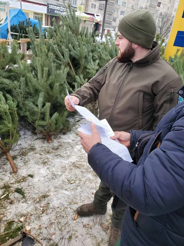 На Волині торгували ялинками без документів (фото)