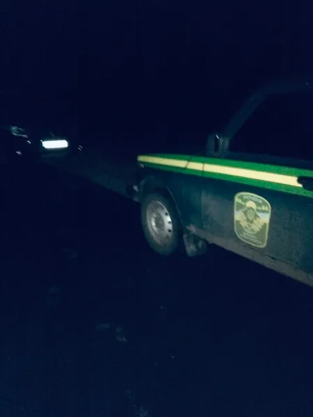 У Шацькому нацпарку застрелили козулю: ймовірні браконьєри назвалися членами громадського патруля (фото)