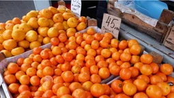 За скільки можна купити мандарини у Луцьку (фото)