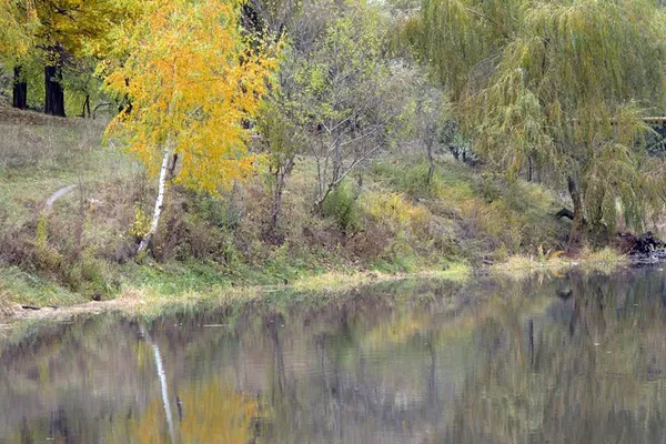 Луцький фотограф показав фантастичну «золоту» осінь (фото)