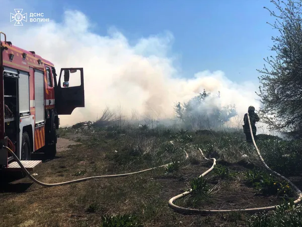 Горіли чагарники та очерет: на Волині загасили 10 пожеж (фото)